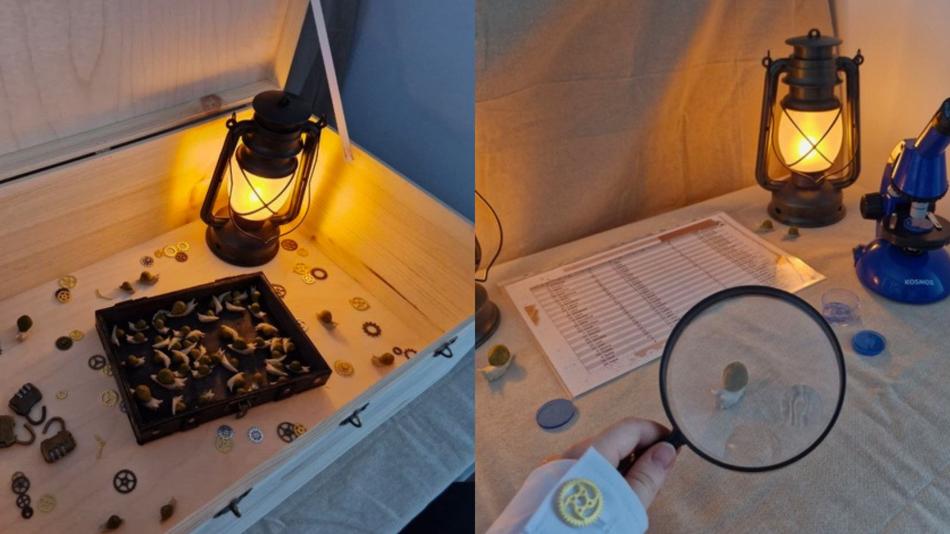 Steampunk Mystery Labor