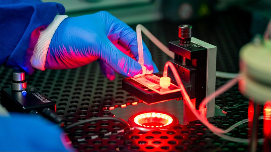 Hand positioniert eine Probe auf einer beleuchteten optischen Messplattform in einem Biotechnologielabor