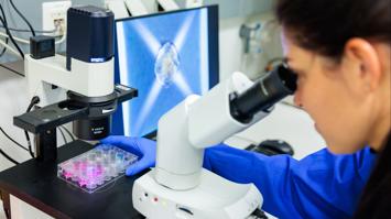 Forscherin betrachtet eine Zellkulturplatte unter einem Mikroskop zur Analyse von Zellproben