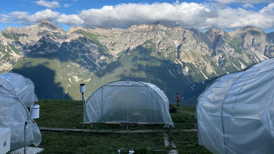 Messstellen im Gebirge