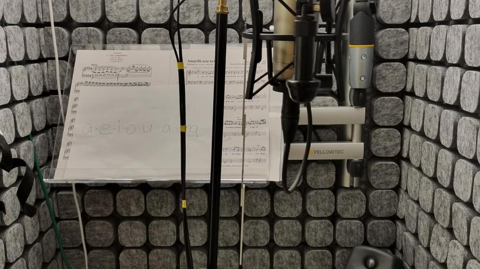 Labor Stimmforschung