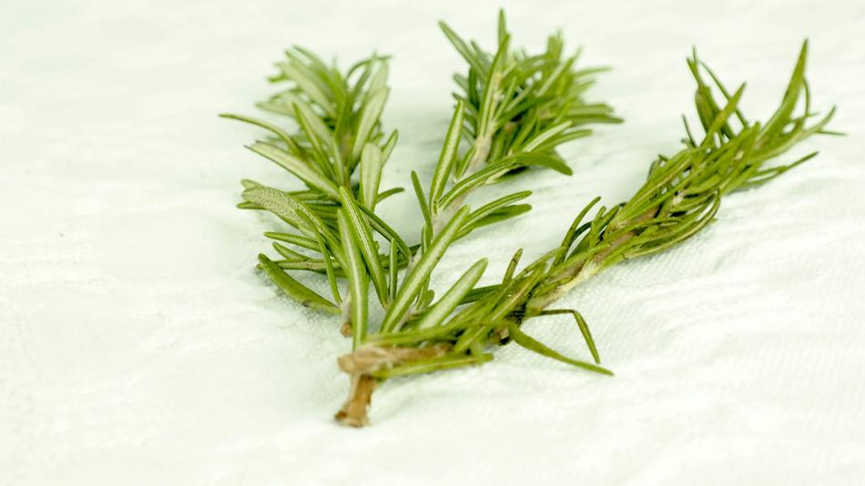Rosmarinzweig