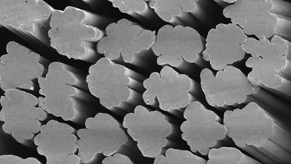 Lenzing Fasern unter dem Mikroskop