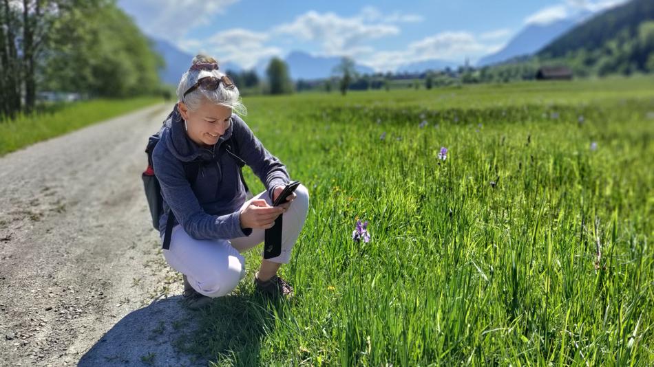 City Nature Challenge 2026