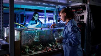 Zwei Frauen blicken in ein Aquarium und nehmen Proben daraus