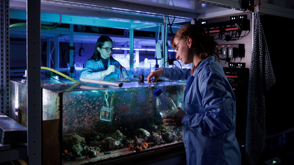 Zwei Frauen blicken in ein Aquarium und nehmen Proben daraus