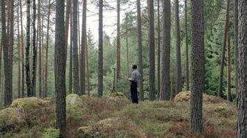 Sounds of Circulation