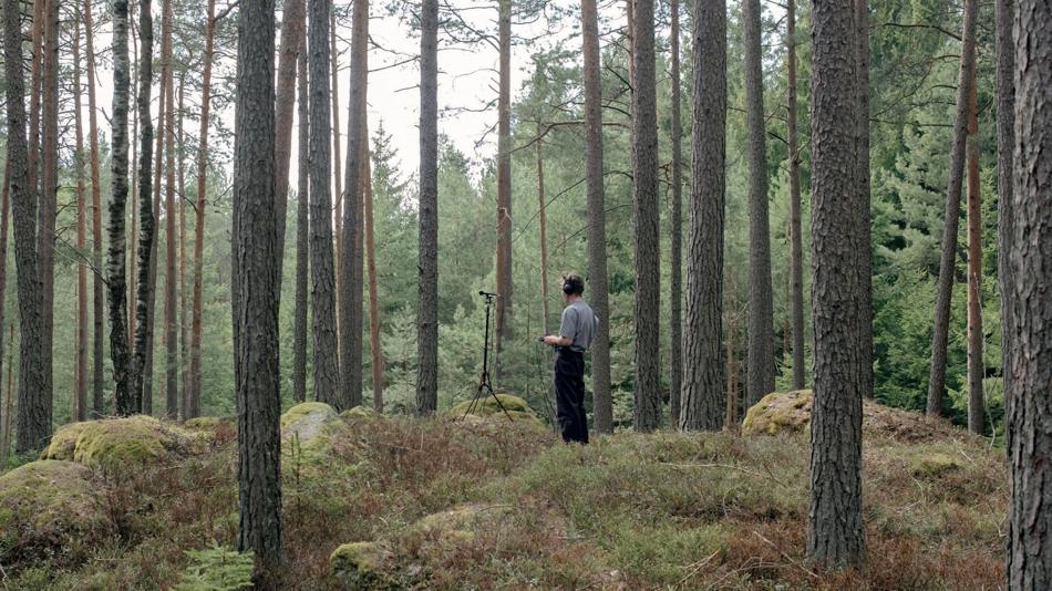 Sounds of Circulation