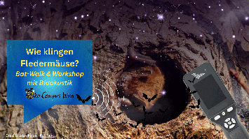 BAT-WALK am mdw-Campus