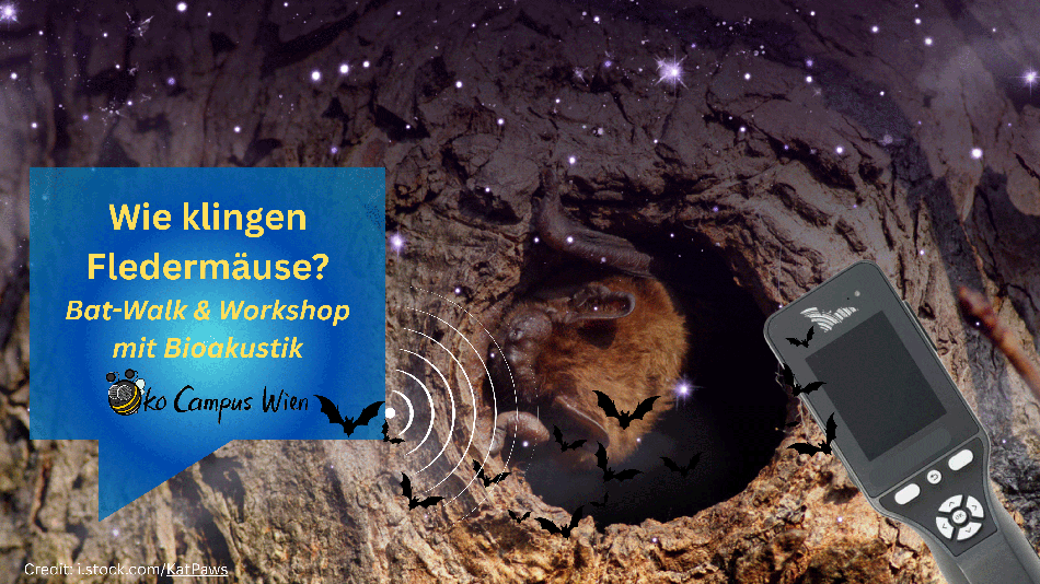 BAT-WALK am mdw-Campus