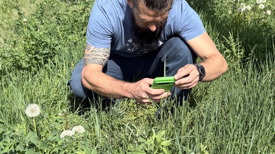 Entdecken Sie die grüne Wildnis direkt vor unserer Tür! Begleiten Sie unsere Botaniker*innen rund um das SFZ und werden Sie zum Natur-Detektiv