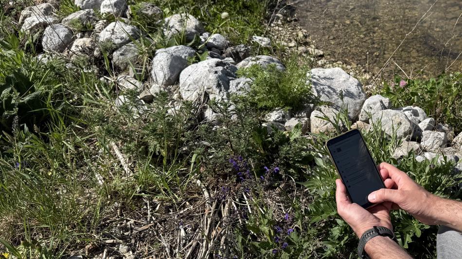 Wer Artenvielfalt vor der Haustür beobachtet, schützt sie auch. Die Tiroler Landesmuseen rufen dazu auf, Verantwortung für unsere Umwelt zu übernehmen.
