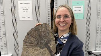 Von der Feldforschung ins Museum - wir geben Einblicke in unsere Forschungsarbeit und zeigen Ihnen die Schätze der Tiroler Urzeit. Im Bild: Sammlungsleiterin und Paläontologin Evelyn Kustatscher