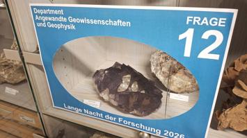 Anhand von Mineralien und Gesteinen in den Vitrinen können 17 Fragen beantwortet werden, um einen Preis zu erhalten.