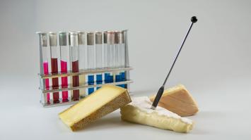 Untersuchung von Rohmilchkäse im Labor