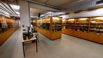 Pathologisches Museum der Vetmeduni