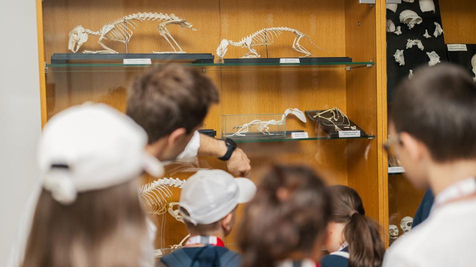 Besucher:innen im Anatomischen Museum der Vetmeduni