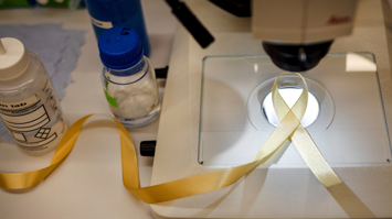 St. Anna Kinderkrebsforschung