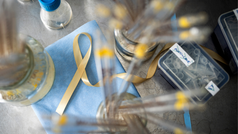 St. Anna Kinderkrebsforschung