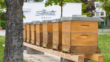 Bienenkästen am Firmengelände