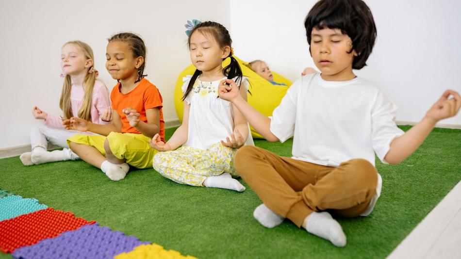 BildA11_Lizenzfrei_Pexels