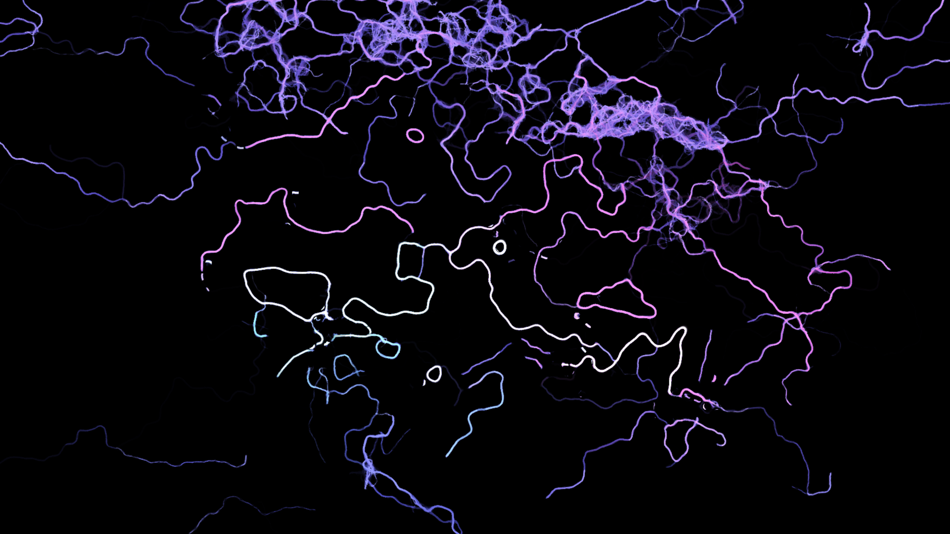 Testlauf des Pilzmodells Rhizosphere