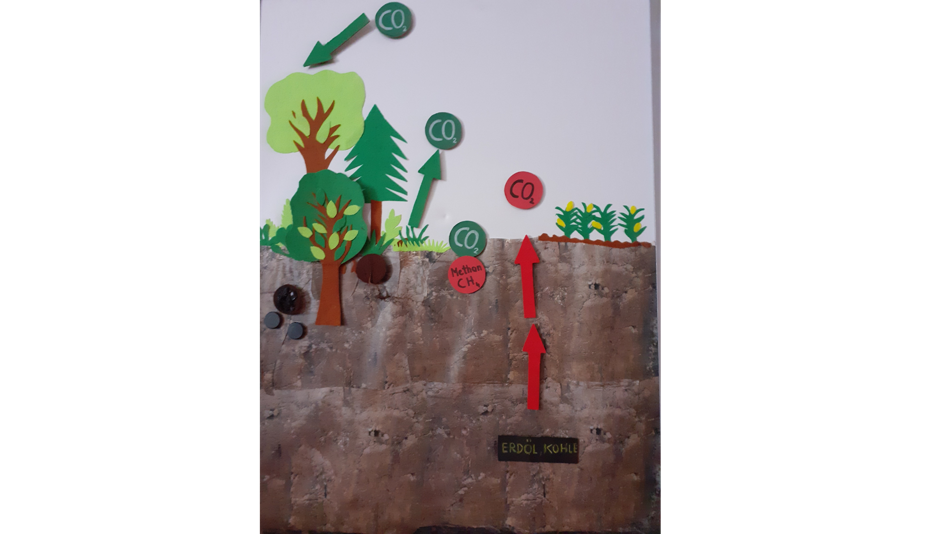 Natürlicher Kohlenstoff-Kreislauf