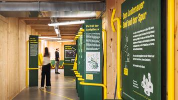 SENFEREI_AUSSTELLUNG