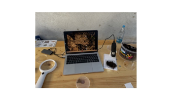 Bodentiere unter der Lupe