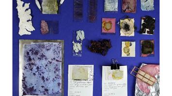 Photoelectric Blueberries von Monja Hirscher