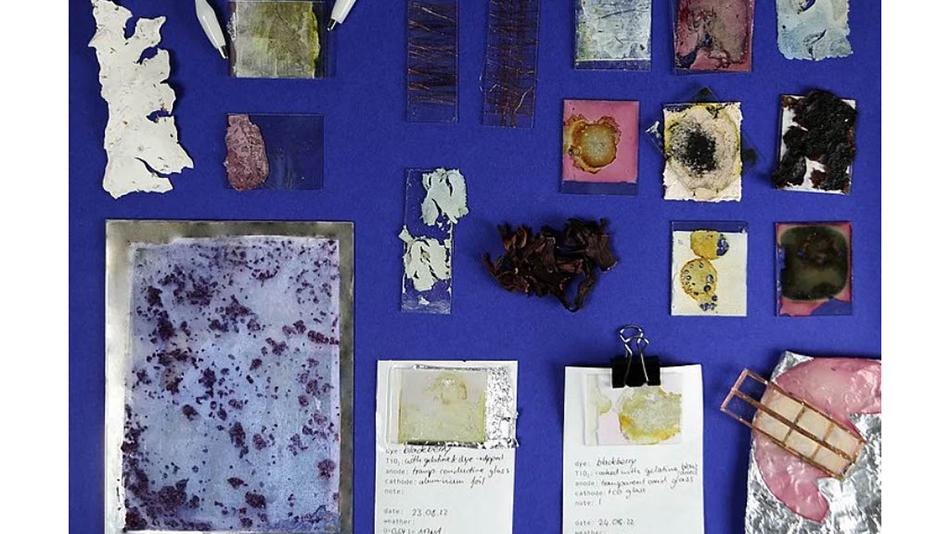 Photoelectric Blueberries von Monja Hirscher