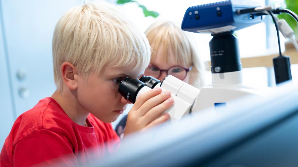Mikroskopieren im Kinderforschunglsabor des AECs