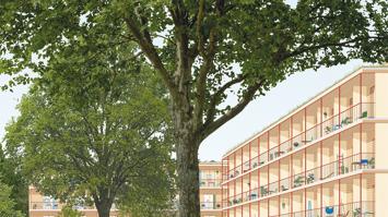 Visialiseirung von Gebäuden, im Vordergrund mehrere Bäume