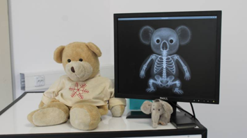 Schon einmal ein Kuscheltier zur MRT-Untersuchung begleitet?