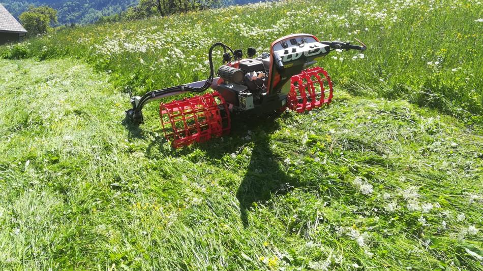 Das Team der Innovation-Farm Edtbauer