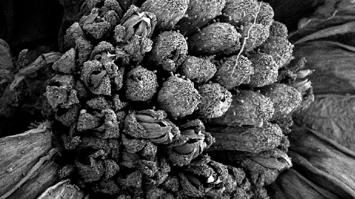 Wie sieht das Kleine in groß aus?