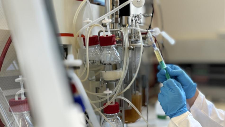 SPIEGLTEC Labor MCI 1