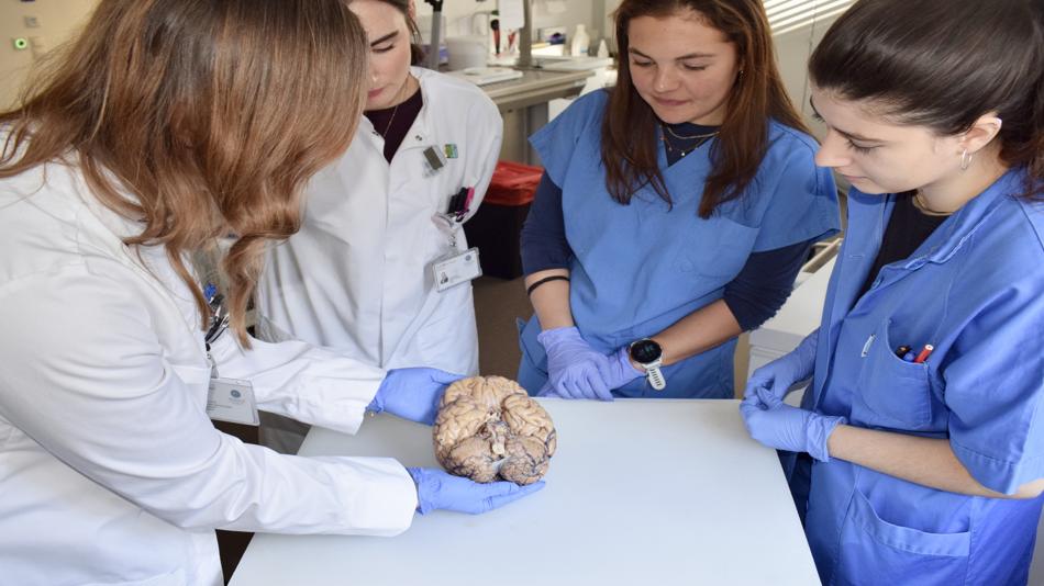 Studierende mit Gehirn