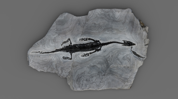 © Christian Seifried