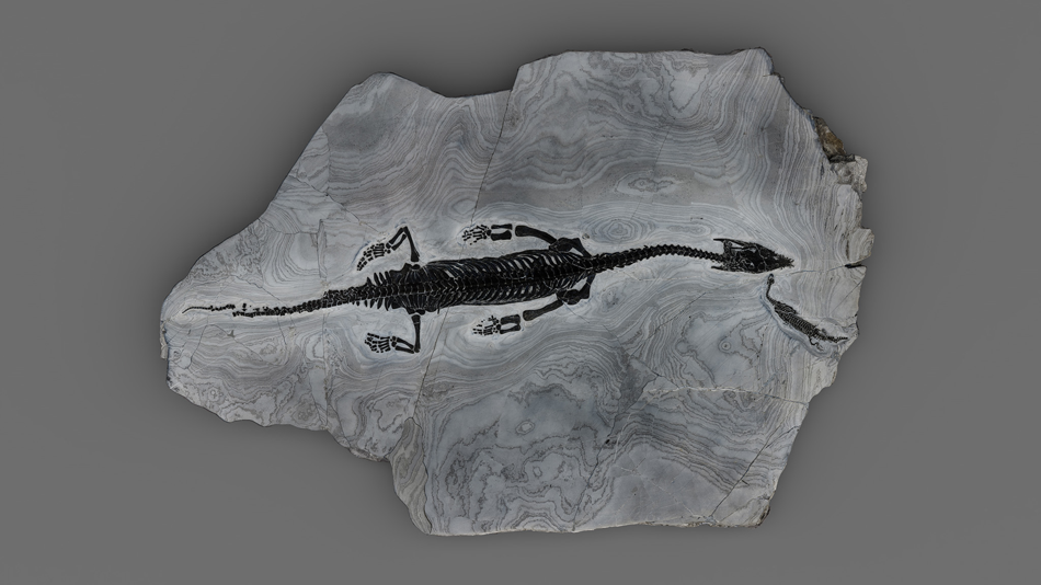 © Christian Seifried