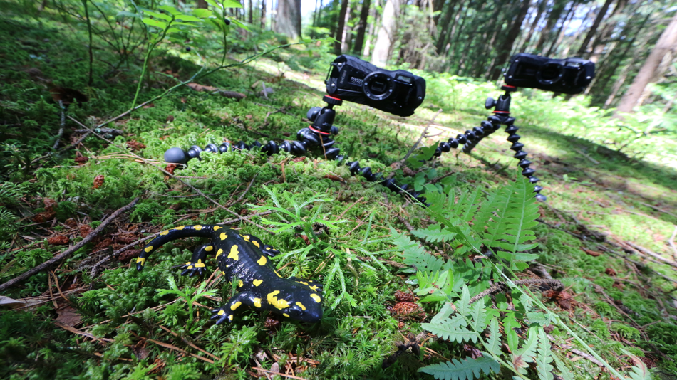 © Biomonitec_ FH Kärnten