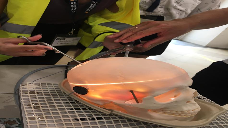 Die "Operation" im Plastikschädel