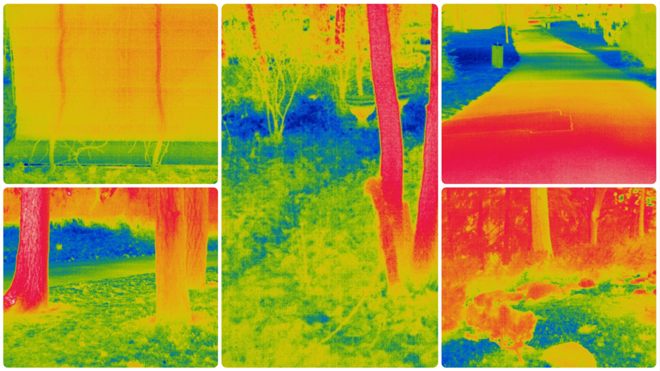 Collage aus sechs Wärmebildern eines Parks: Bäume und Wege warm (rot), Wiesen und Schatten kühl (blau/grün).
