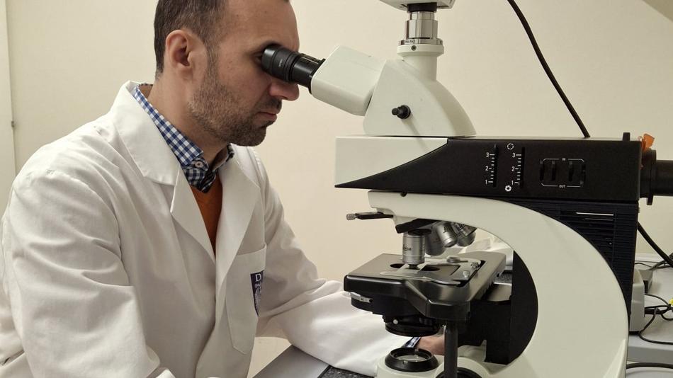 Wissenschaftler am Mikroskop